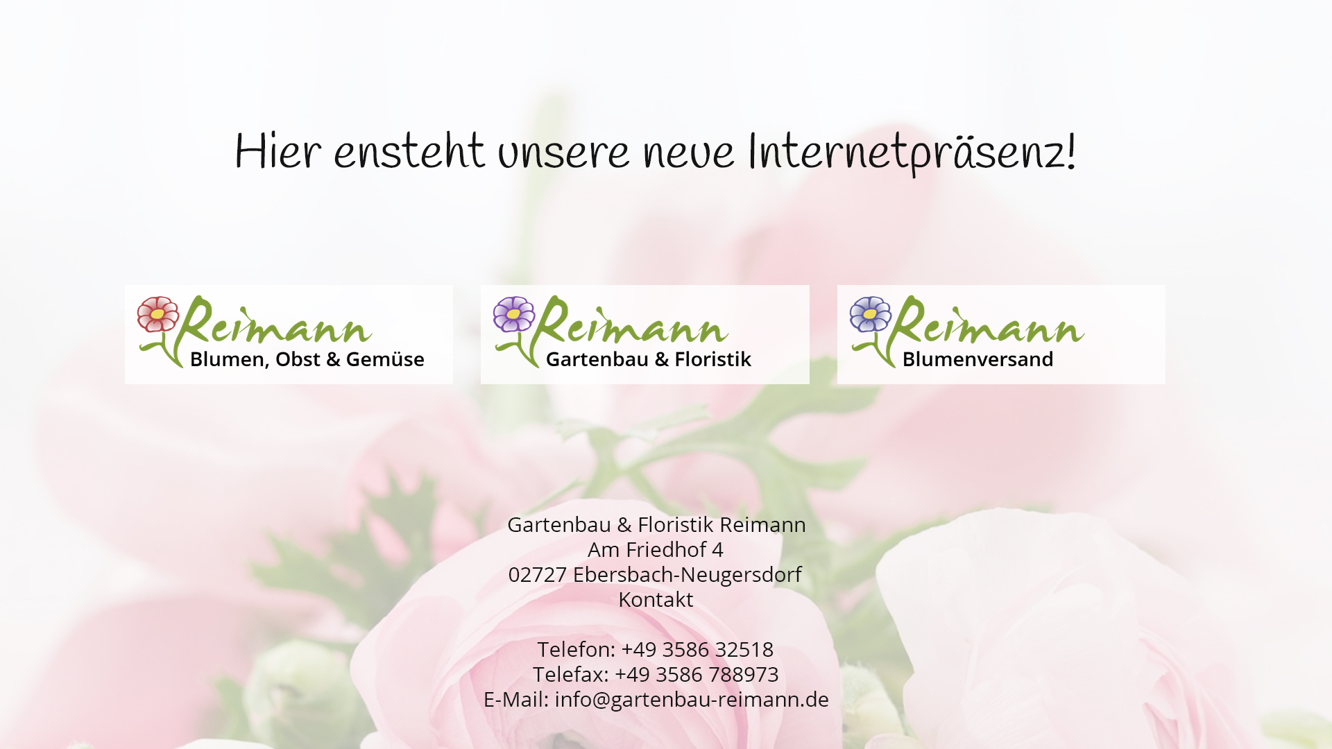 Thumbnail Bild
